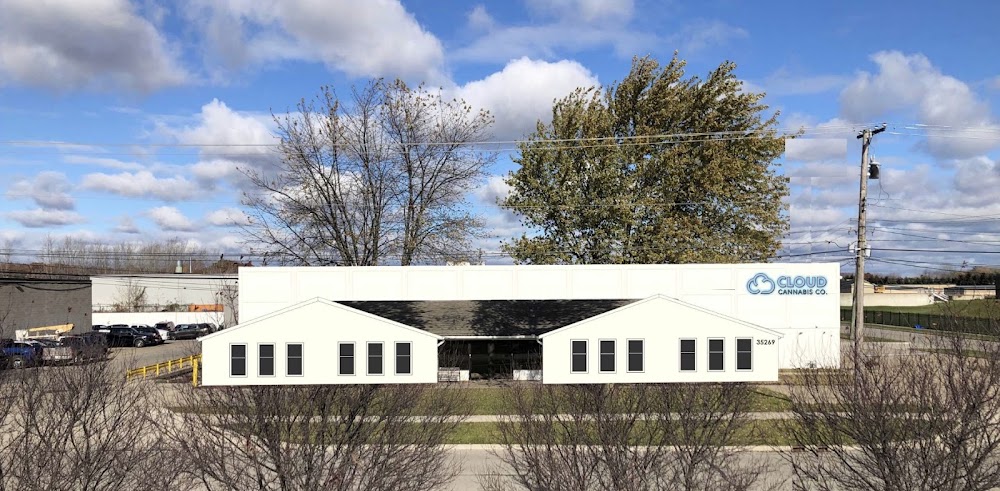 Cloud Cannabis Company photo 1