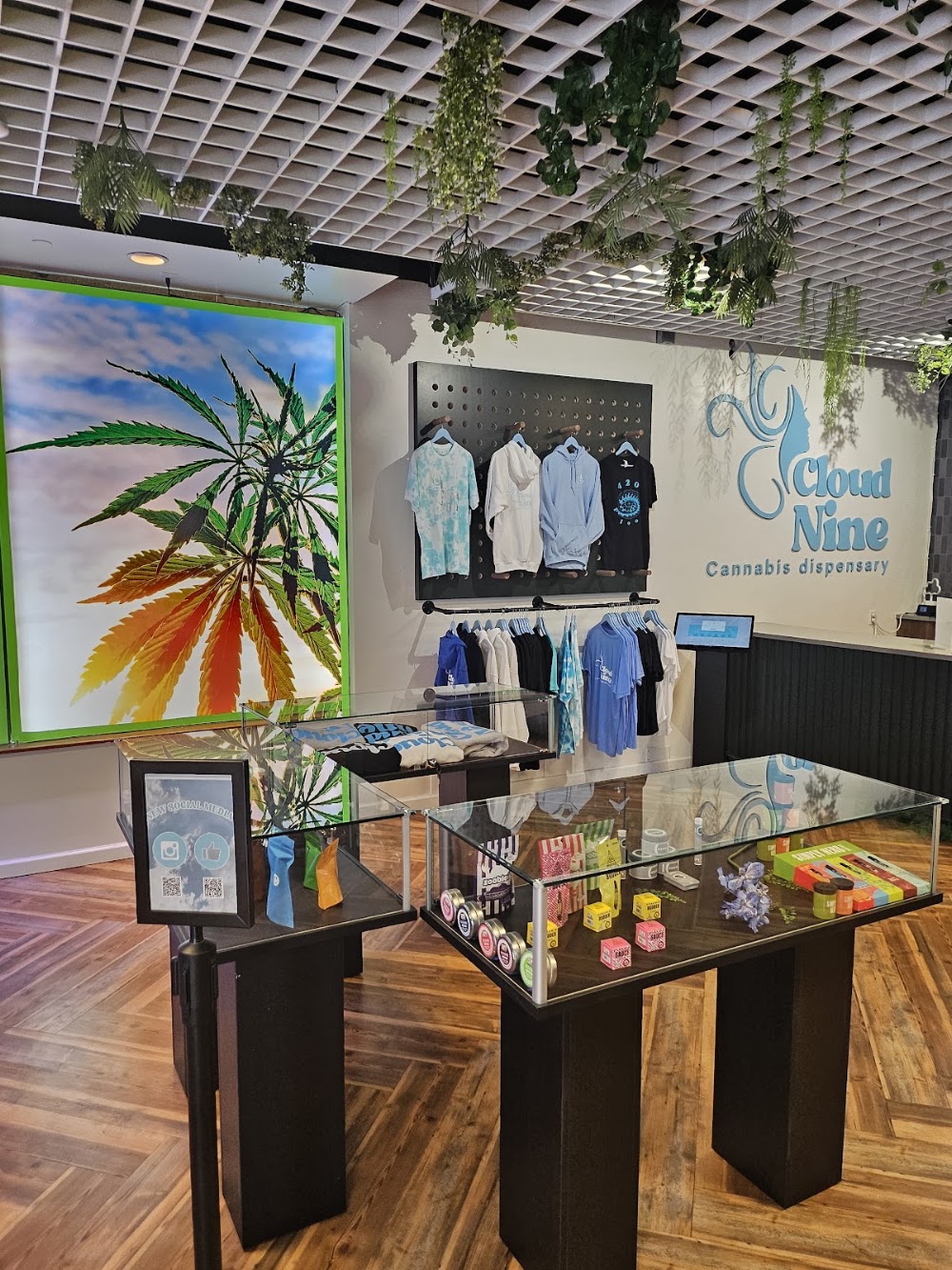 Cloud Nine Dispensary photo 7