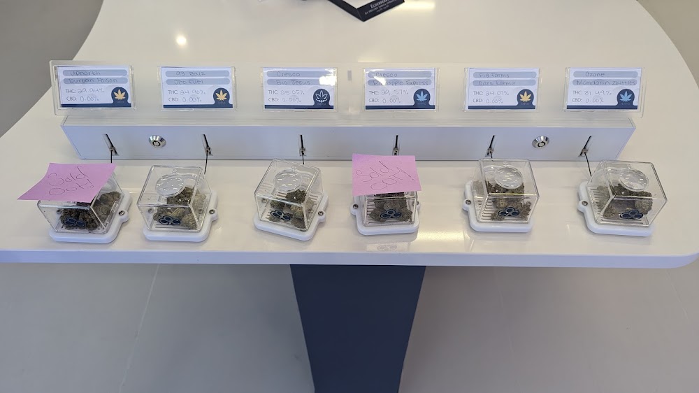 Cloud9 Cannabis photo 7
