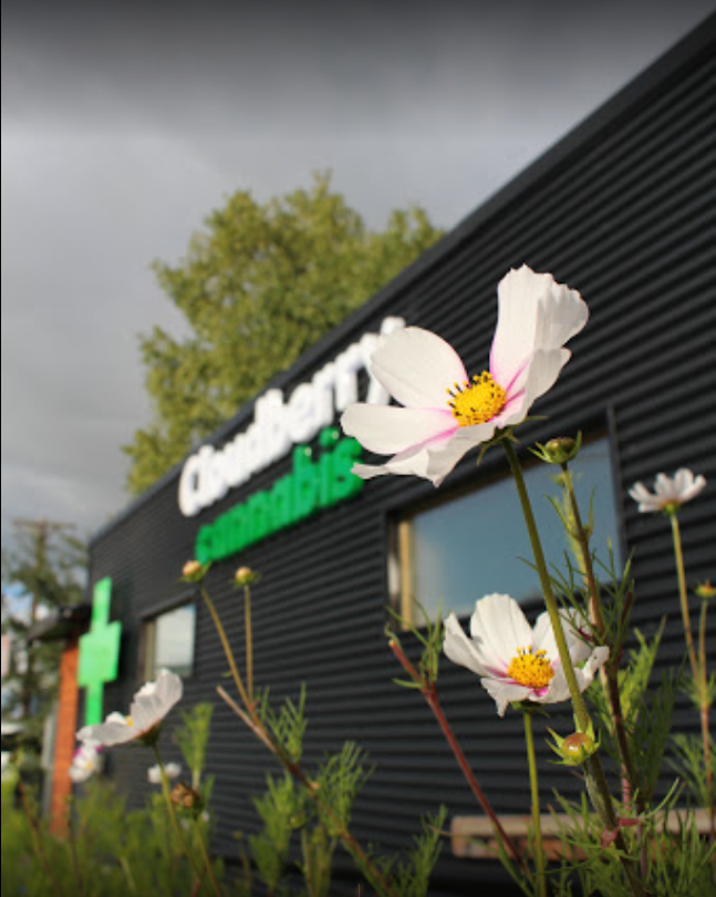 Cloudberry Cannabis photo 1