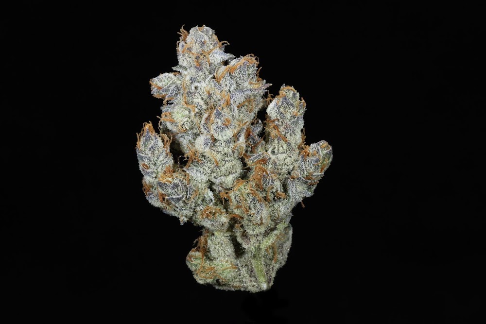Cloudberry Cannabis photo 8