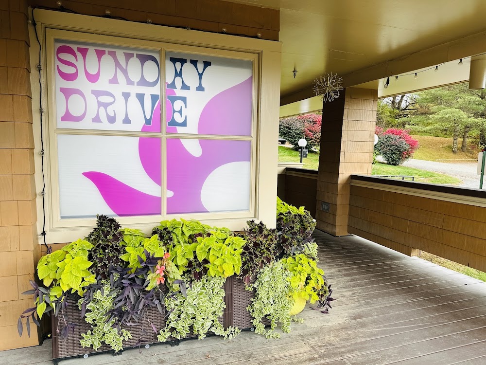 Sunday Drive photo 7