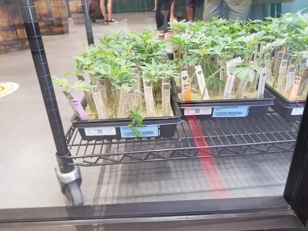 Coco Farms photo 6