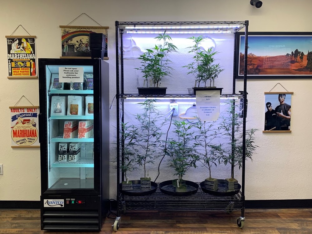 Colfax Cannabis Company photo 6