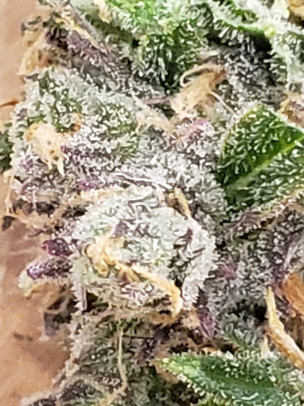 Colorado Cannabis Connection photo 7
