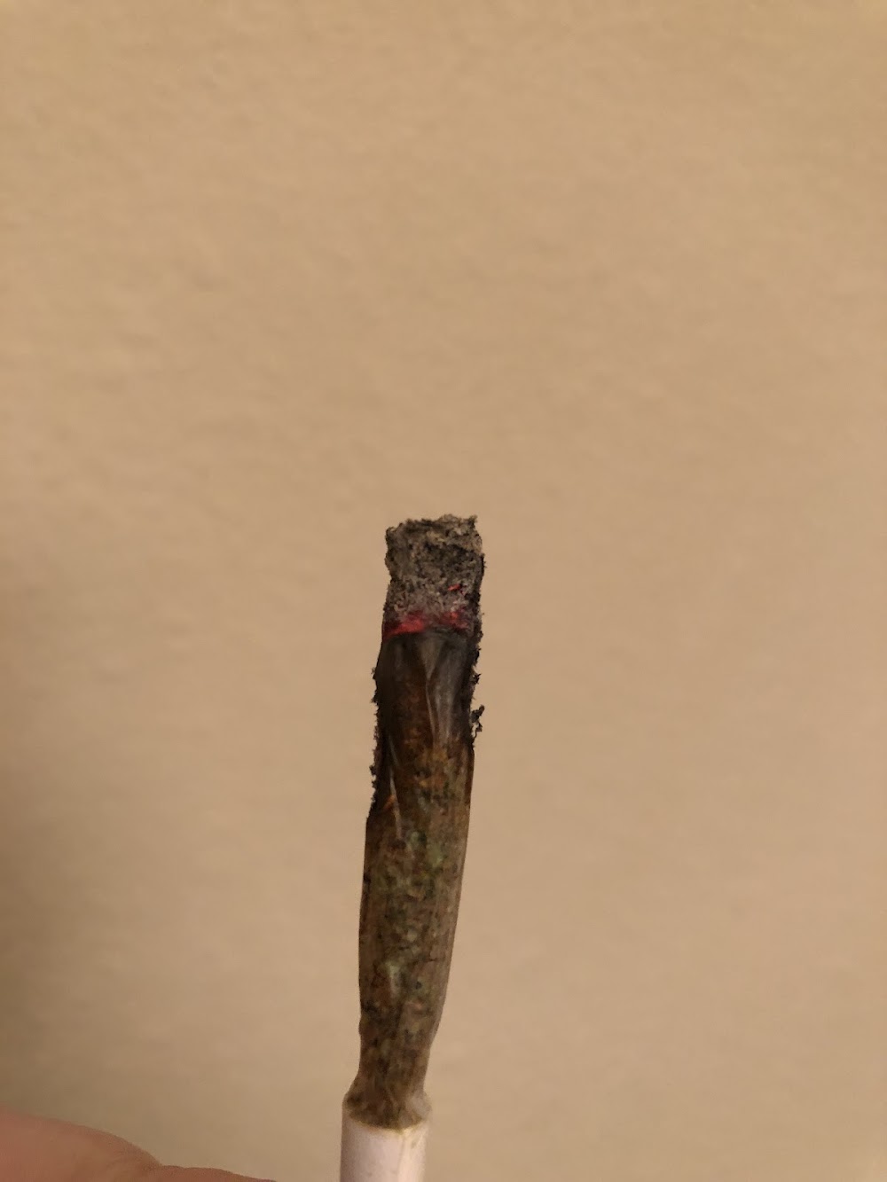 Colorado Cannabis Connection photo 8