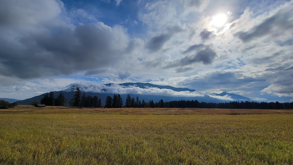 Columbia Falls photo 5