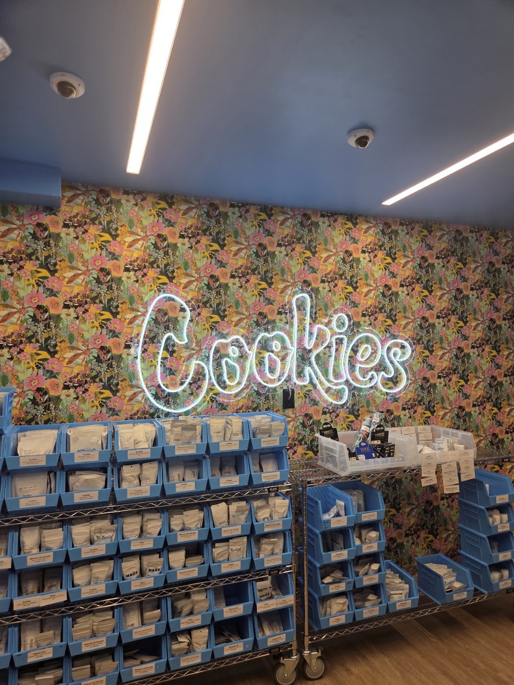 Cookies Florida photo 5