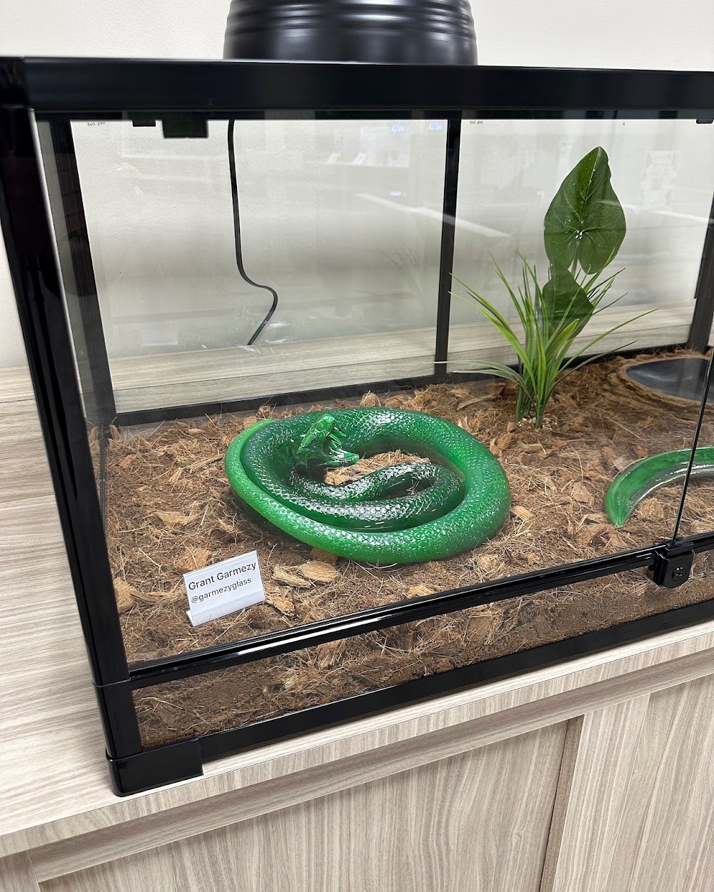 Cottonmouth Dispensary photo 8