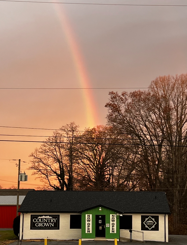 Country Grown Cannabis - Beckley photo 8
