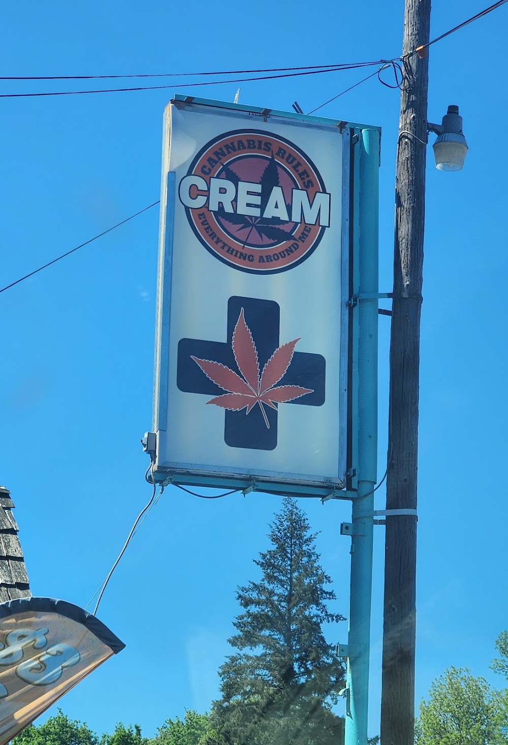 Cream Cannabis photo 5
