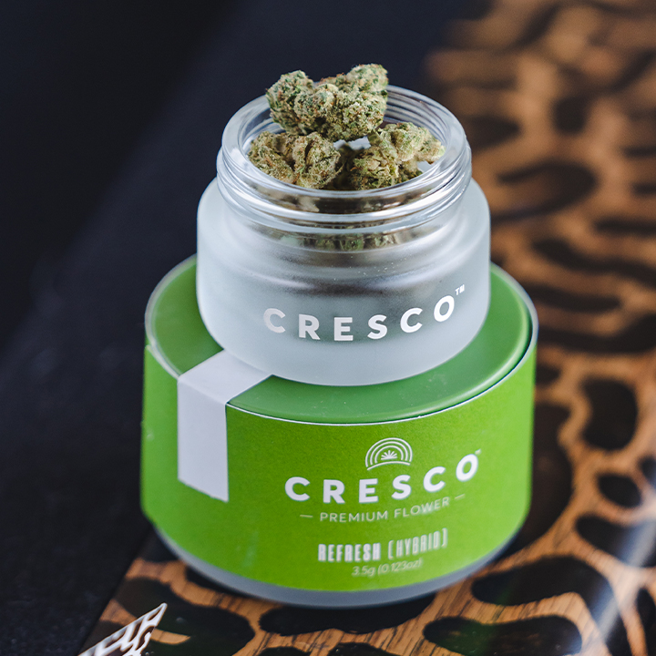 Cresco Yeltrah - New Kensington photo 4