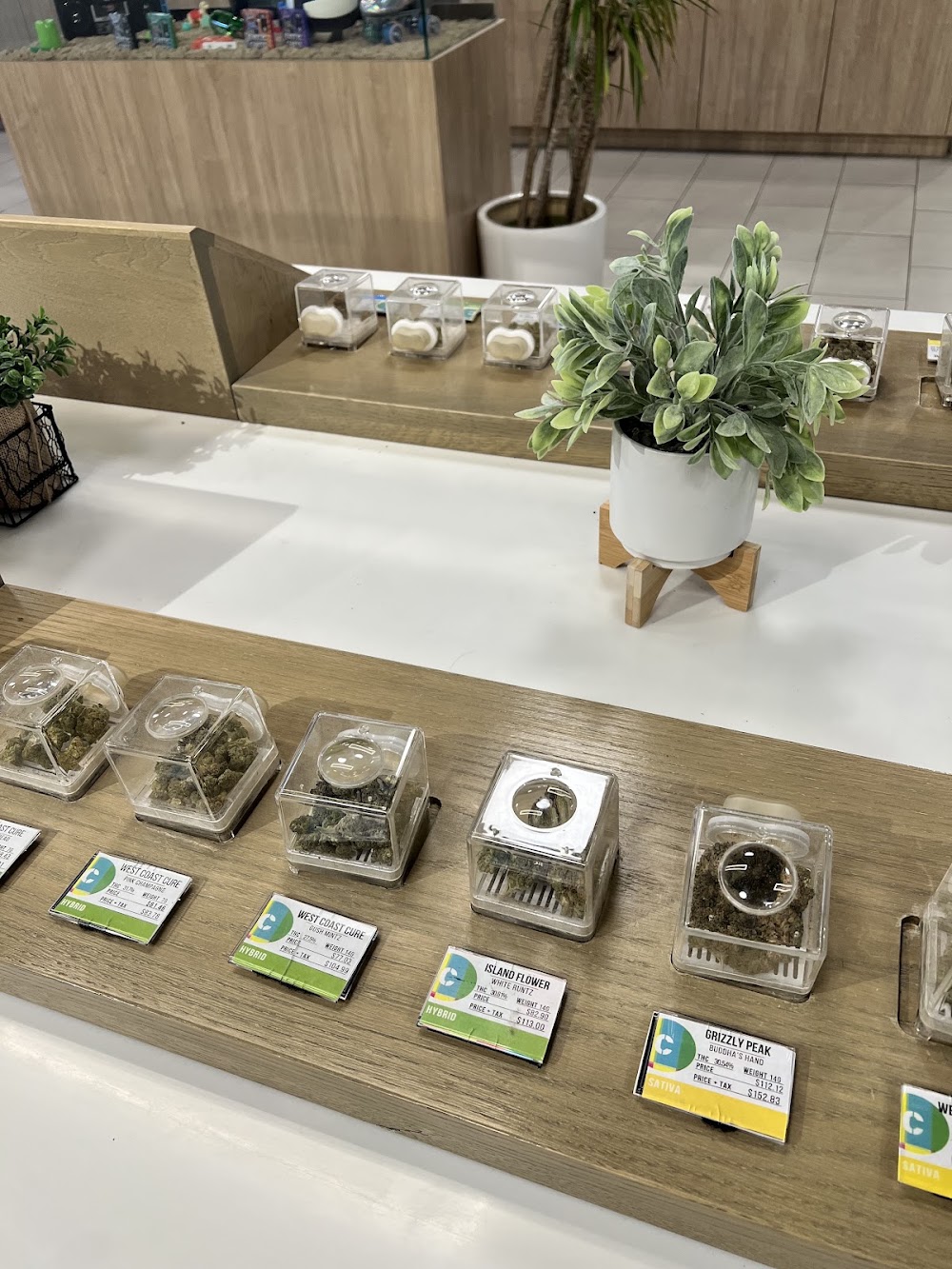 Culture Cannabis Club photo 7