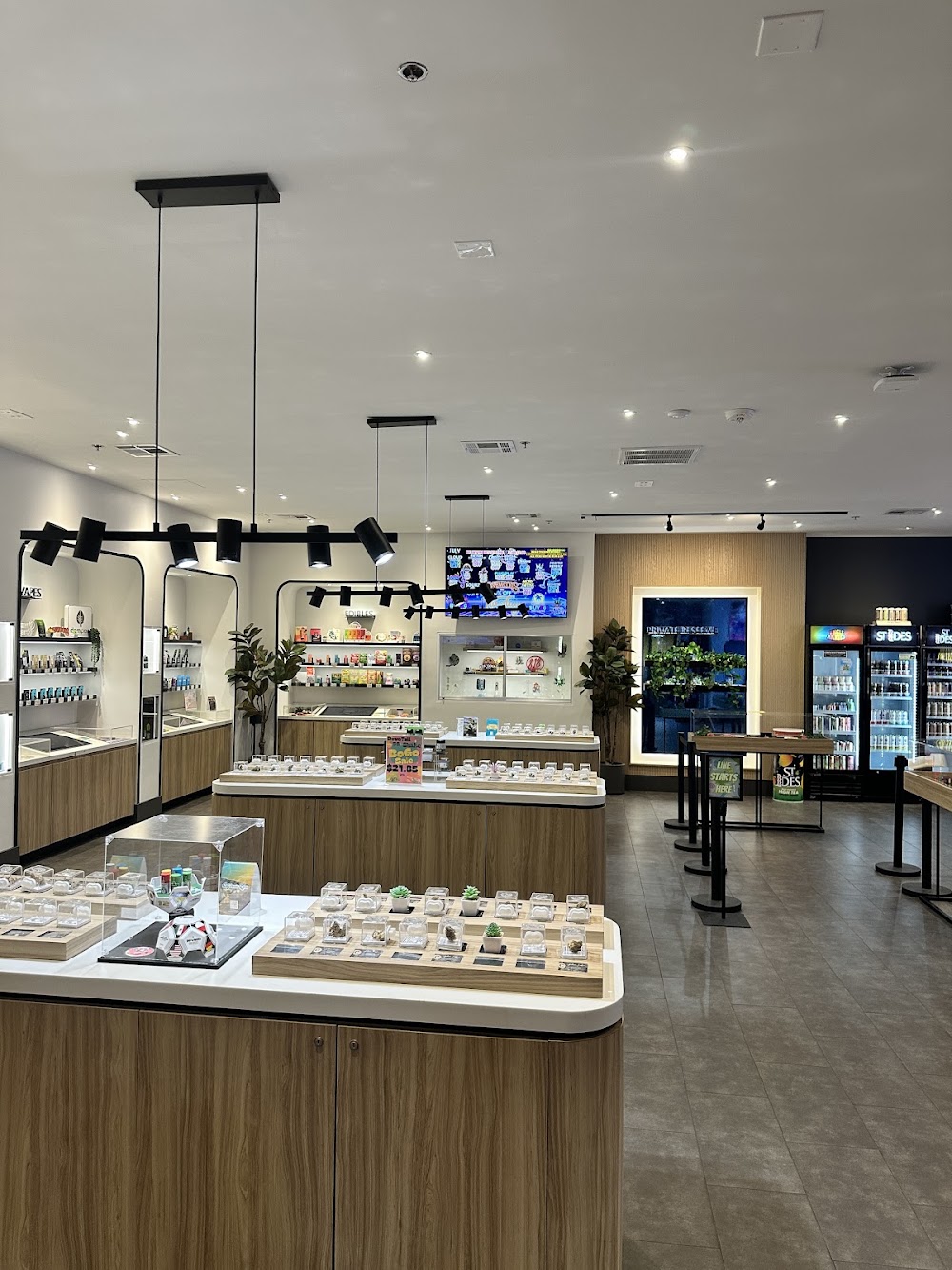 Culture Cannabis Club photo 2