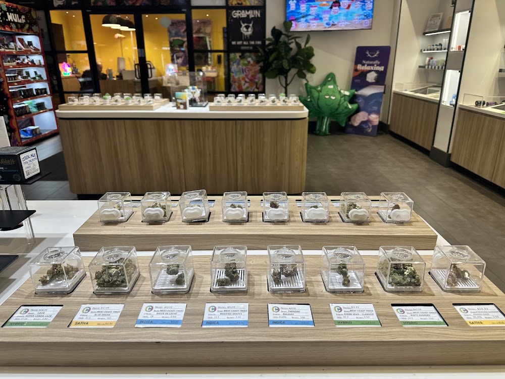 Culture Cannabis Club photo 5