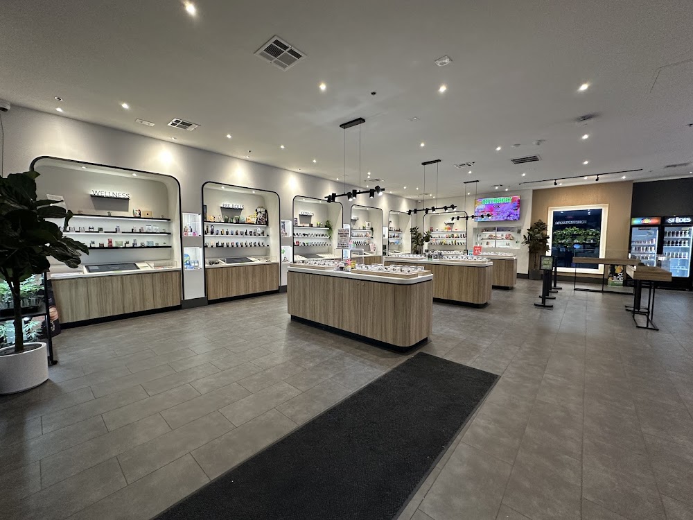 Culture Cannabis Club photo 8