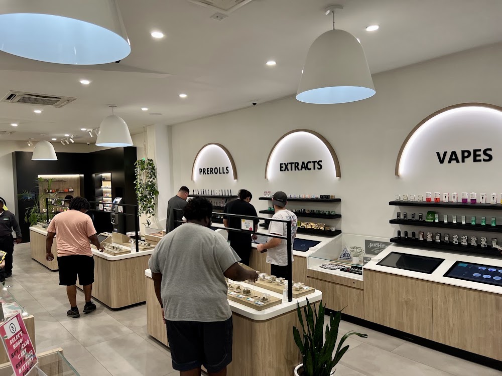 Culture Cannabis Club photo 3