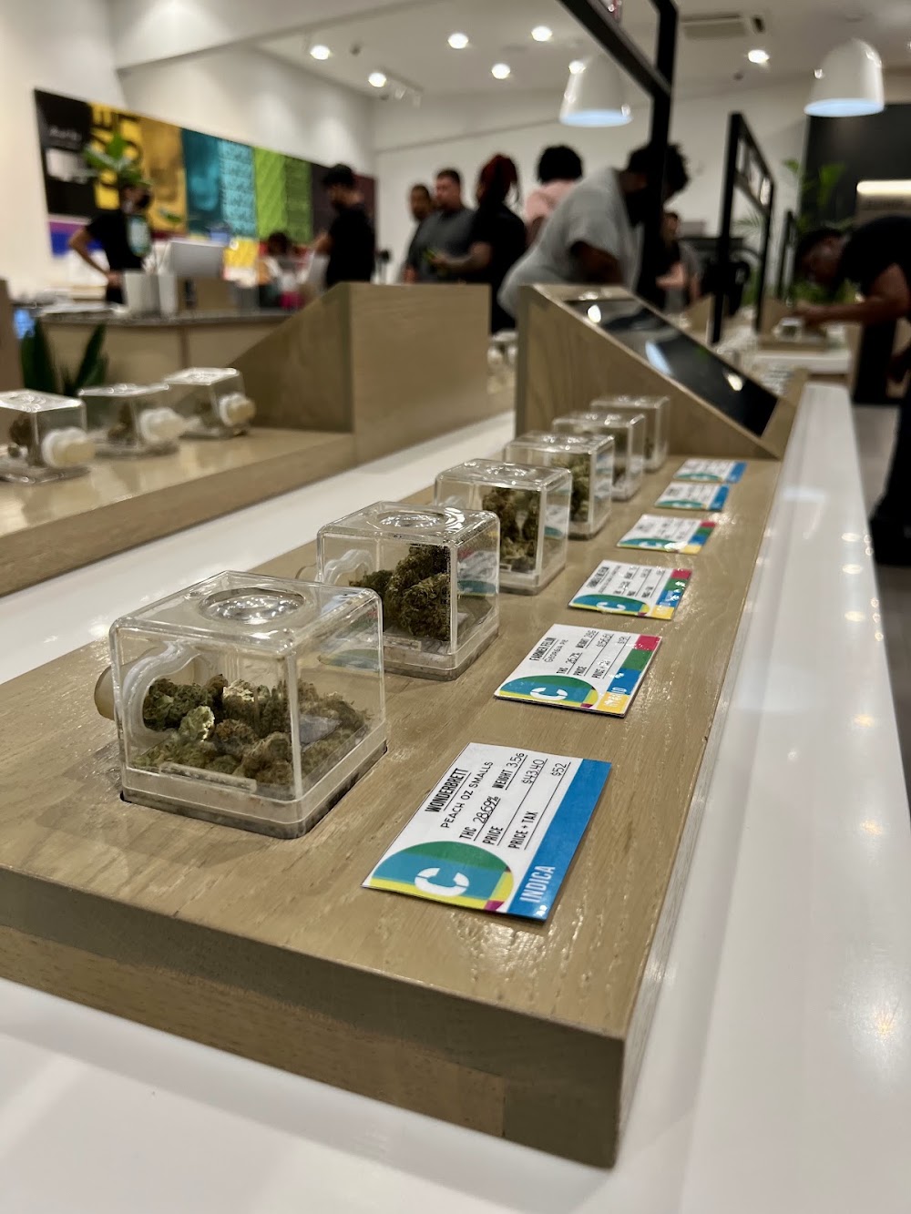 Culture Cannabis Club photo 6
