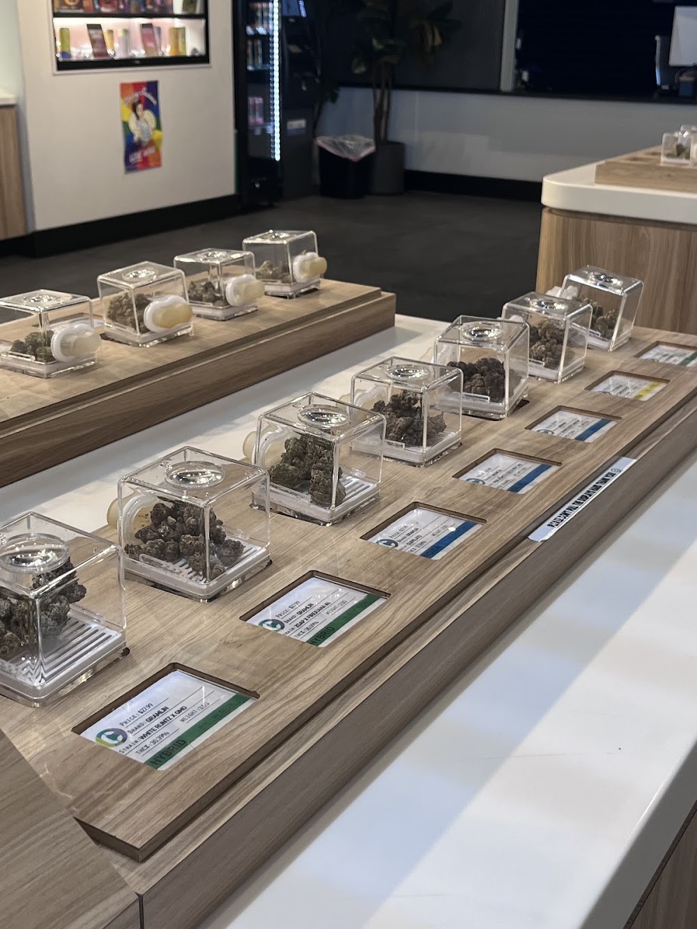 Culture Cannabis Club photo 3