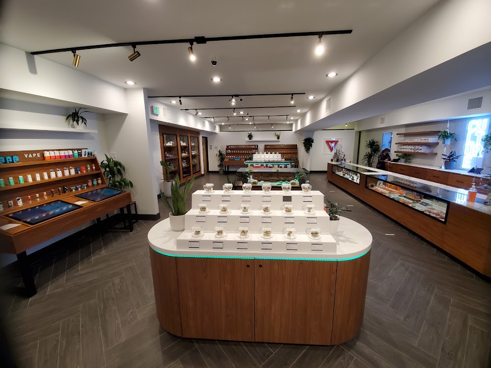 Culture Cannabis Club photo 8