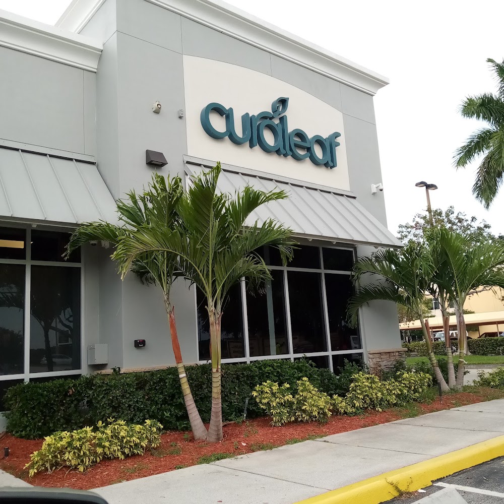 Curaleaf photo 4