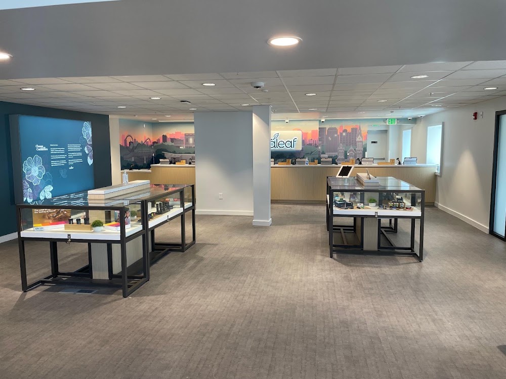 Curaleaf photo 2