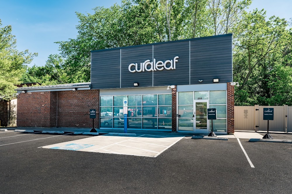 Curaleaf Horsham photo 7