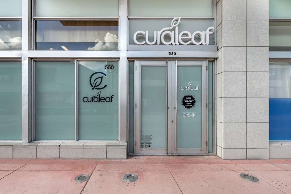 Curaleaf photo 4