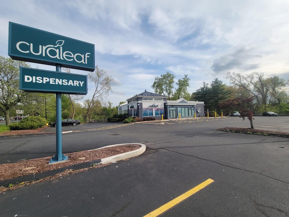 Curaleaf Milford photo 7