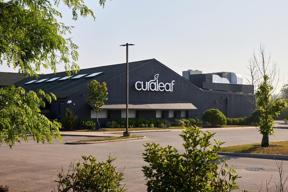 Curaleaf photo 4