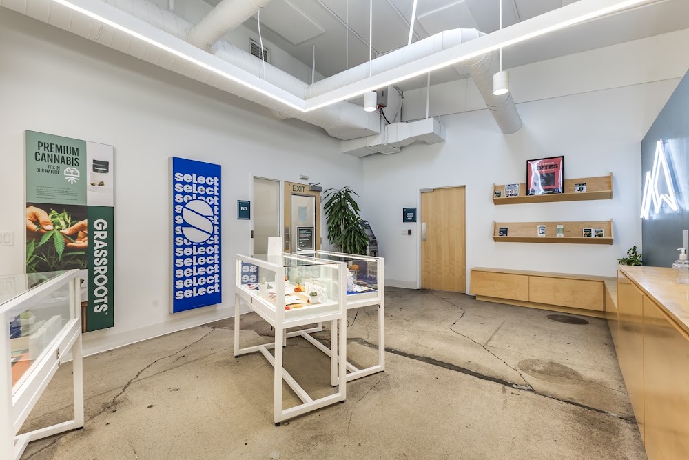 Curaleaf - Provo photo 6