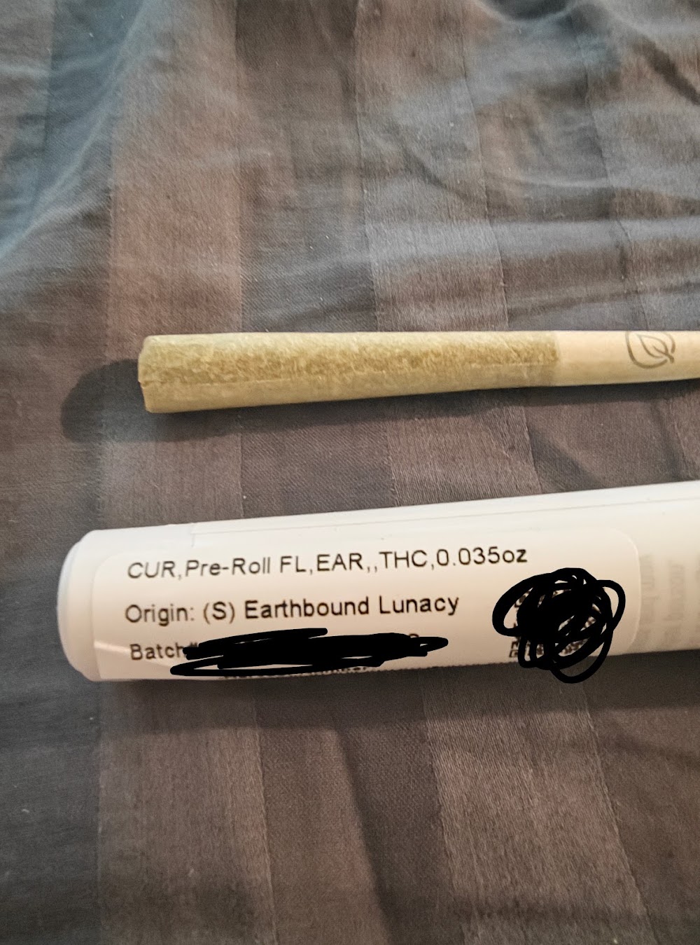 Curaleaf photo 3