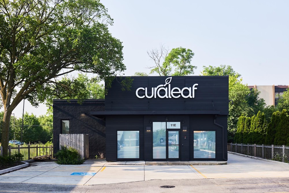 Curaleaf photo 4