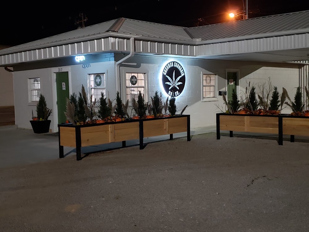 Cushman Cannabis & Company photo 1