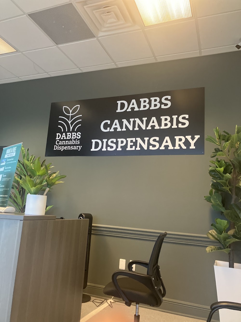 Dabbs 1 photo 7