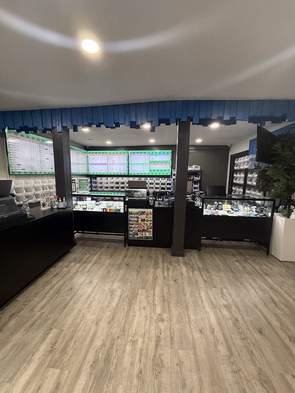 Dabbs Cannabis Dispensary photo 6