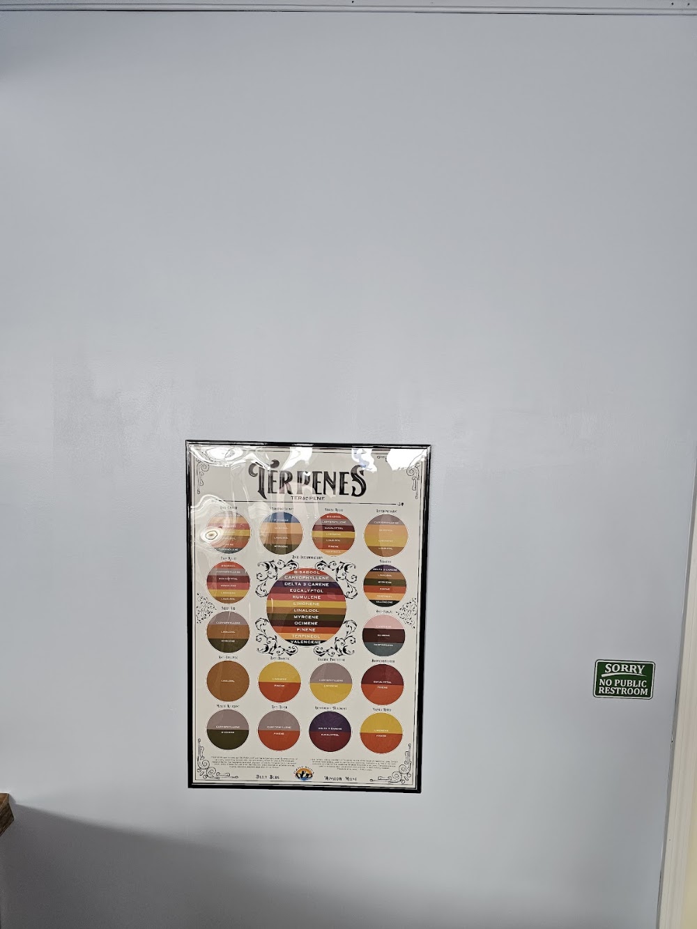 Daily Buds Dispensary photo 3