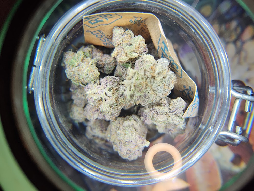 Dakota Herb photo 6