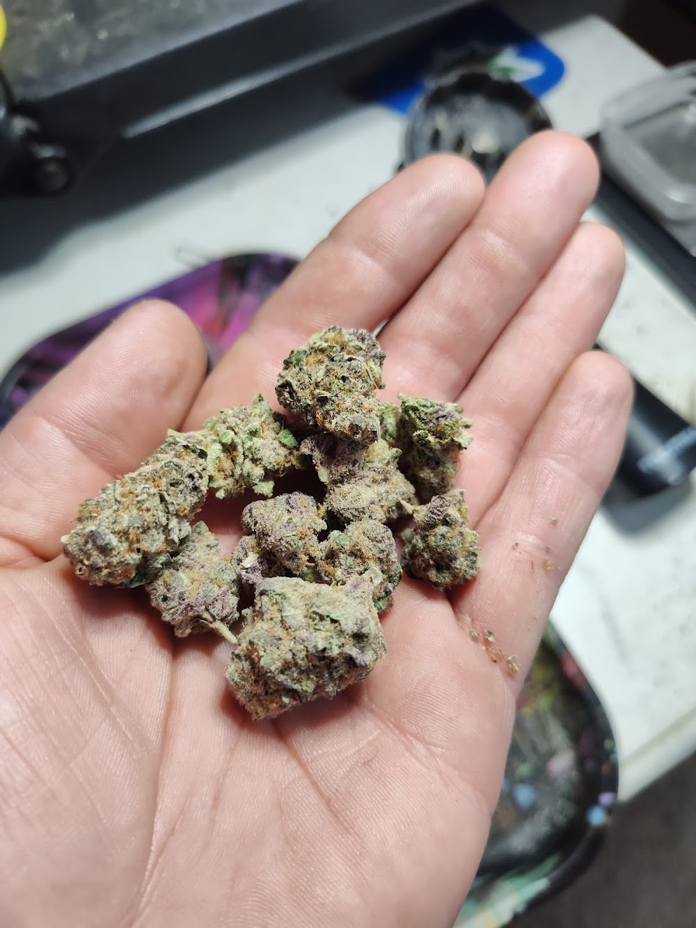 Dakota Herb photo 7