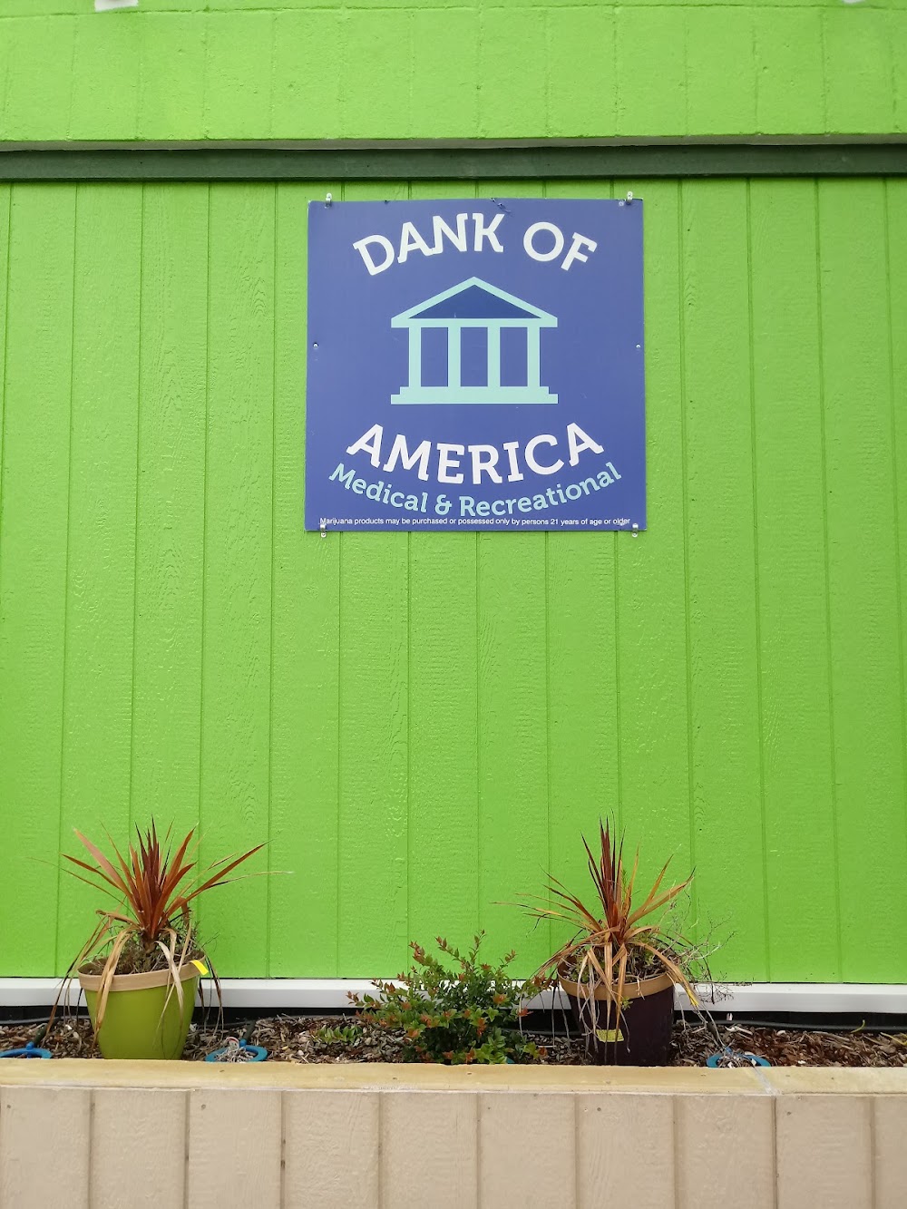 Dank Of America photo 5