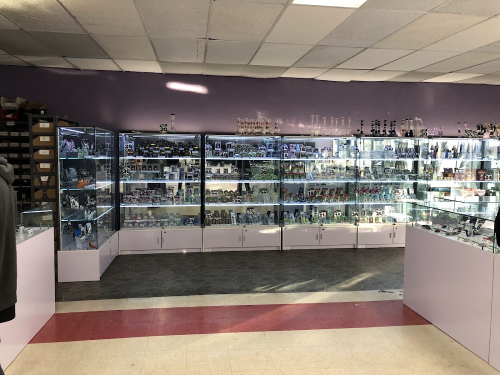 Dank's Wonder Emporium photo 6