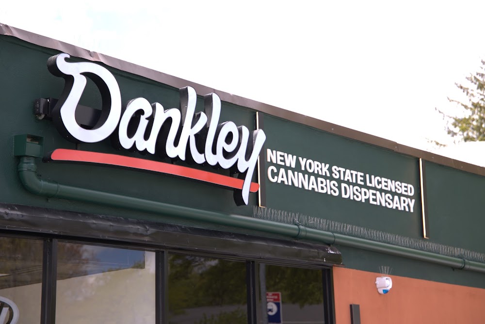 Dankley Canna photo 1