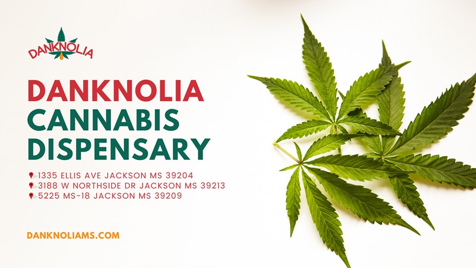 Danknolia Cannabis photo 2
