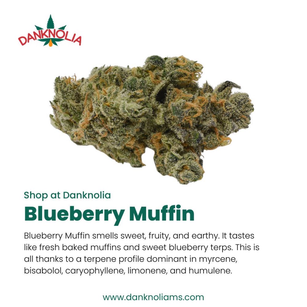 Danknolia Cannabis photo 5