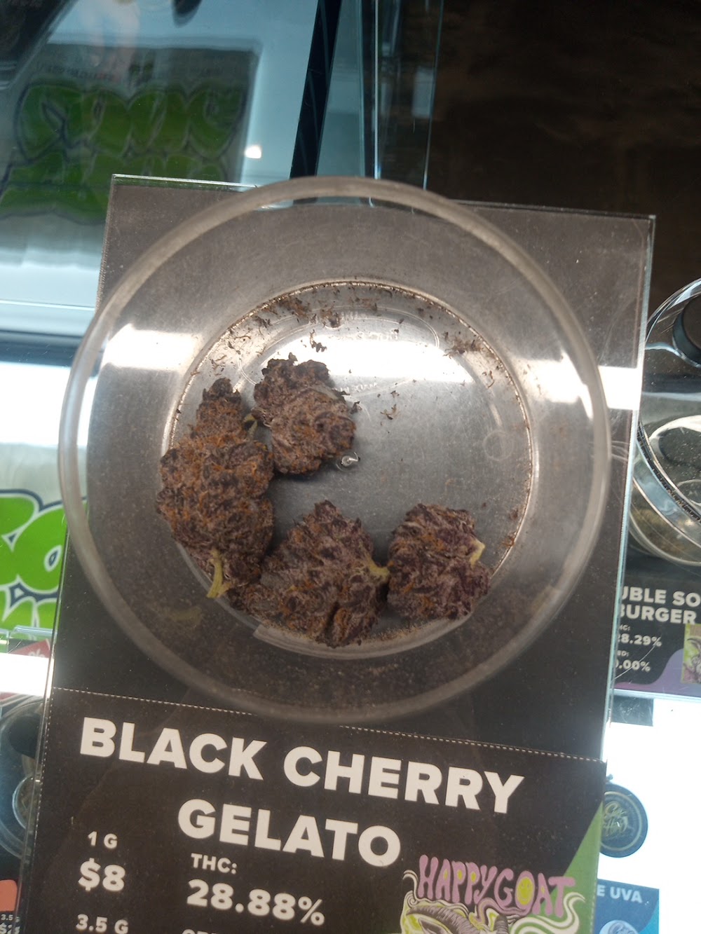 Dark Matter - Albuquerque photo 4