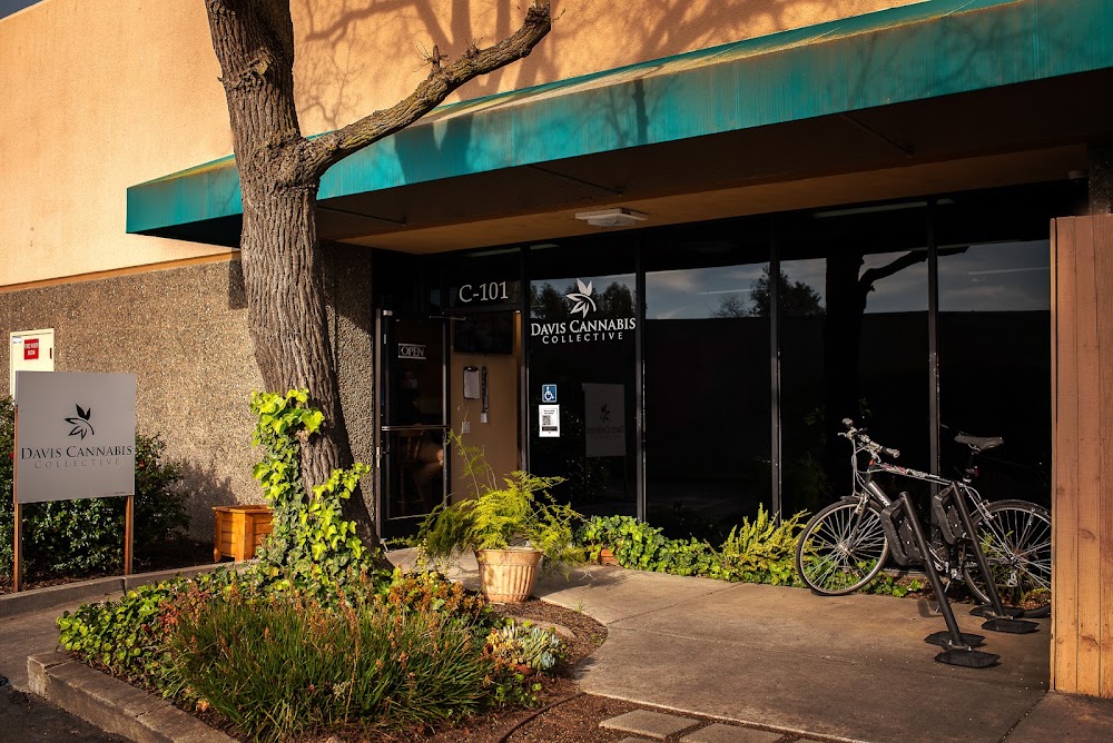 Davis Cannabis Collective photo 1