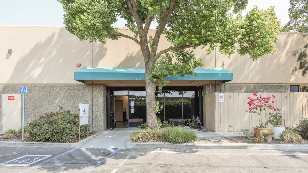 Davis Cannabis Collective photo 4