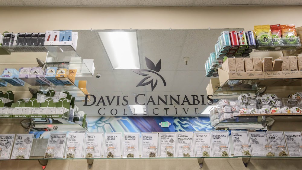 Davis Cannabis Collective photo 6