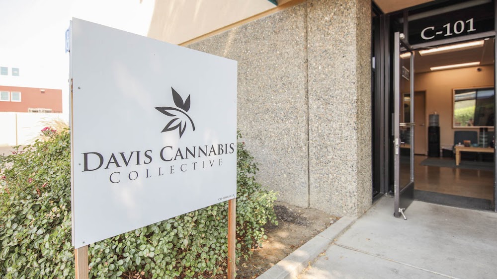 Davis Cannabis Collective photo 7