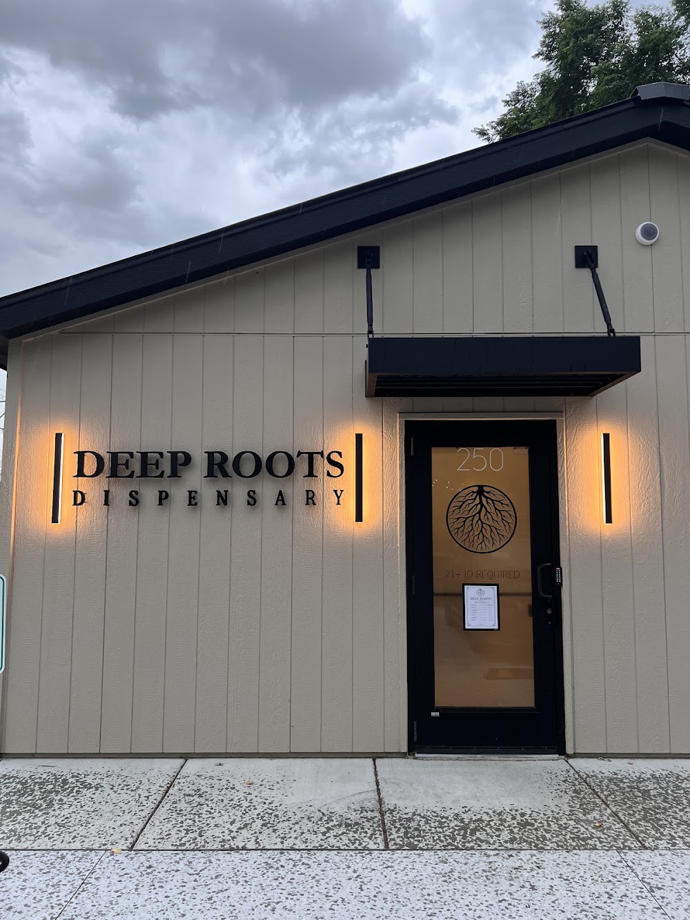 Deep Roots photo 5